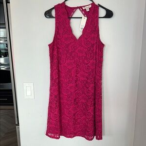 Francesca's Collections Fuchsia Lace Mini Dress